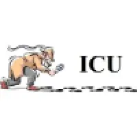 Information Connection Unlimited Information Connection Unlimited