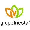 Grupo Iñesta Grupo Iñesta