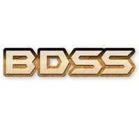 BDSS (Big Data Secured Solutions )