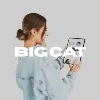 Big Cat Creative