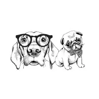 Digital Dogs Content and Media Digital Dogs Content and Media