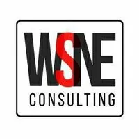 WSNE Consulting WSNE Consulting