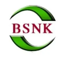 BSNK Info Solutions Pvt. Ltd.