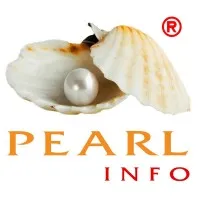PEARLINFO PVT. LTD.