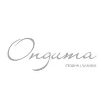 Onguma Safari Camps