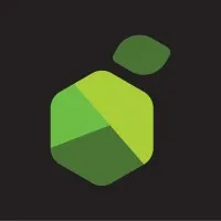 Lemontech email format