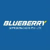 Blueberry Semiconductors