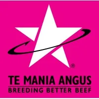 Te Mania Angus