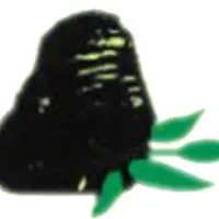 Biodiversity Preservation Center (BPC) Biodiversity Preservation Center (BPC)