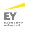 UMT Consulting Group (acquired by EY) UMT Consulting Group (acquired by EY)