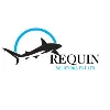 Requin Solutions Pvt. Ltd.