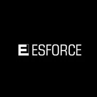 ESforce Holding