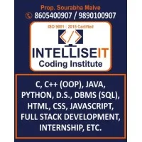 INTELLISE IT Coding Classes