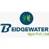 Beidgewater BPS Pvt. Ltd Beidgewater BPS Pvt. Ltd