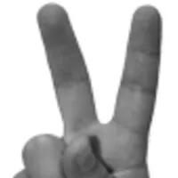 The Vitanova Foundation