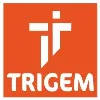 Trigem Energy Systems Pvt. Ltd. Trigem Energy Systems Pvt. Ltd.