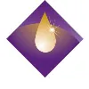 Al-Khaldi Holding Company Al-Khaldi Holding Company
