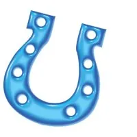 Blue Horseshoe Network Inc