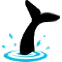 Deepdive Solutions Pvt Ltd