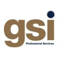 GSI Professional Services GSI Professional Services