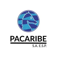 Pacaribe