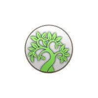 Stem Digital Stem Digital