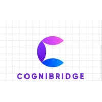 CogniBridge Solutions PVT LTD CogniBridge Solutions PVT LTD