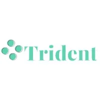 Trident IT Group