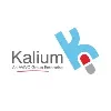 KaliumGroup KaliumGroup