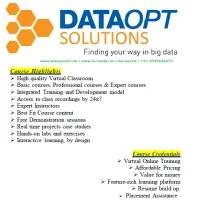 DataOpt Solutions