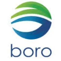 Corporativo Borro