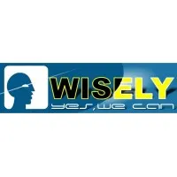 Shenzhen Wisely Laser Machinery Co., Limited