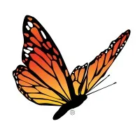 Ray Graham Association