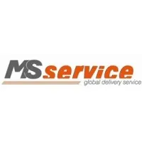 MS Service