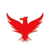 Digital Phoenix