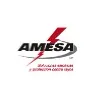 Amesa S.A. de C.V. Amesa S.A. de C.V.
