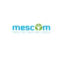 Mescom Vietnam - A Unique Market Expansion Service Provider in Vietnam