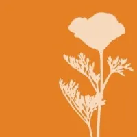 Curtis Horticulture, Inc.