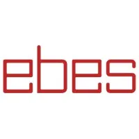 ELECTRON BEAM ENGINEERING SERVICES LLC