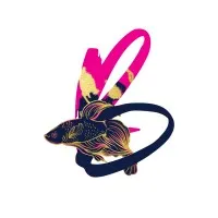 Black Fish Gold Studios