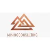 Mining Consulting Mining Consulting