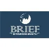 Bureau of Research on Industry and Economic Fundamentals (BRIEF) Bureau of Research on Industry and Economic Fundamentals (BRIEF)