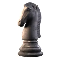 White Knight Consulting LLC
