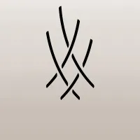 COUNTEX