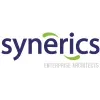 Synerics Synerics