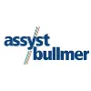 Assyst-Bullmer Assyst-Bullmer