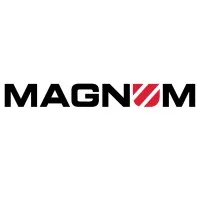 Magnum Security