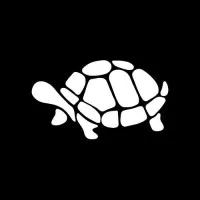 Turtle LLC