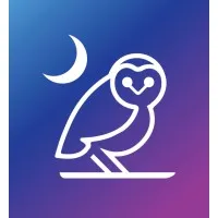 Nightwing Digital Solutions Co., Ltd.