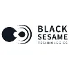 Black Sesame Technologies Inc